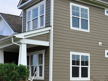 viridian_case_study1