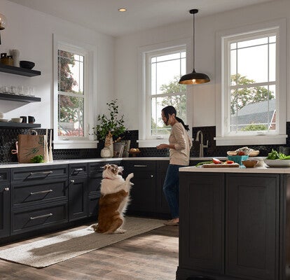 MI Windows renovation