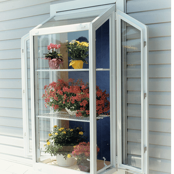 V5000 Restorations Series Window