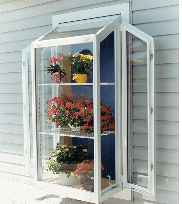 V5000 Restorations Series Window