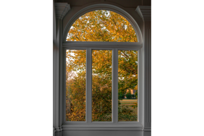 Arched Windows, MI Windows and Doors